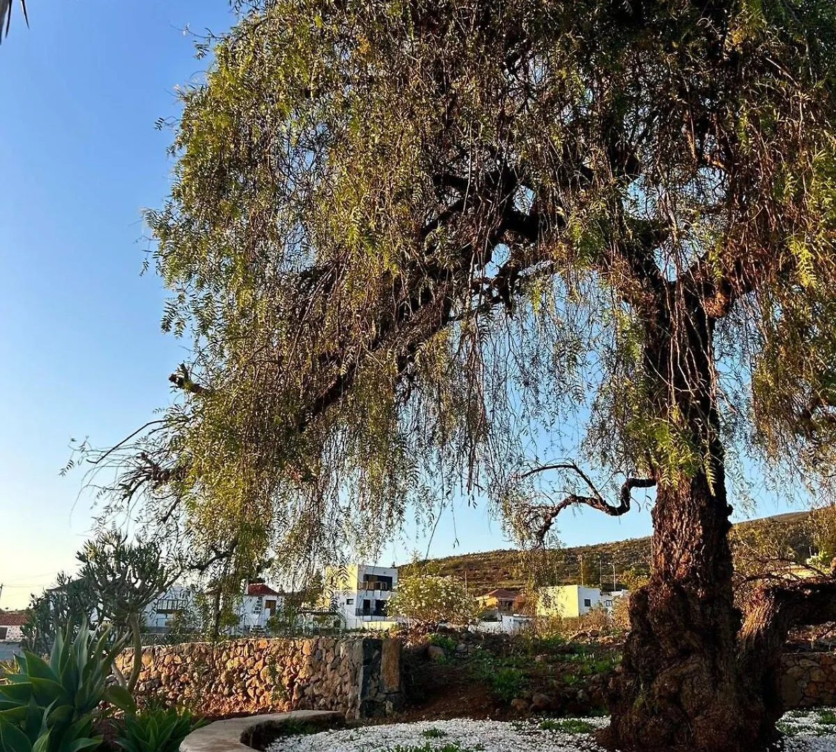 Casa Rural Refugio Del Silencio, Adeje, Wi-Fi Vera de Erque Dağ evi